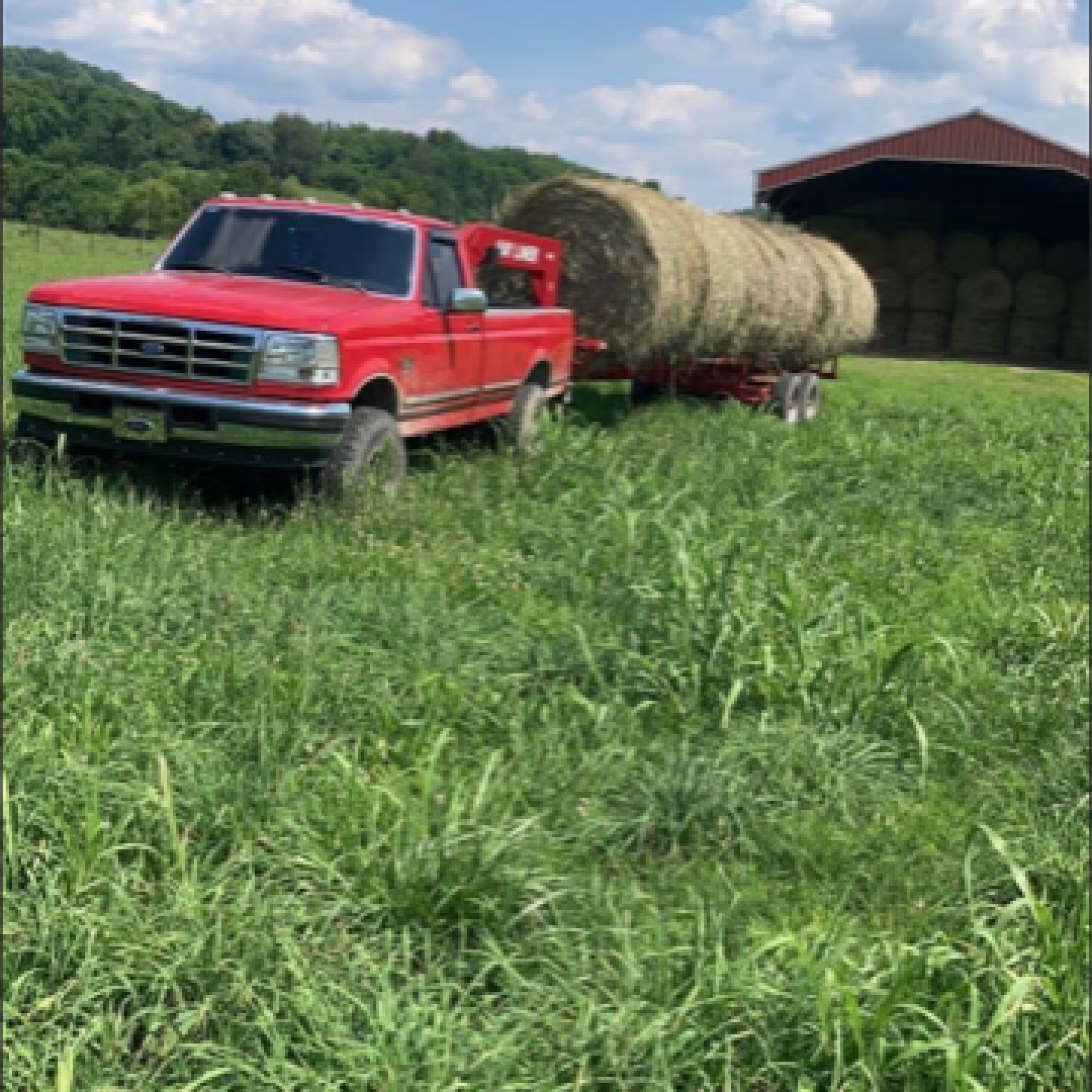 Hay Liner Trailers Gallery - Best Self Dumbing Hay Trailers